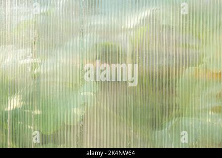 La texture du polycarbonate transparent. Matériau plastique transparent pour serres. Texture en polycarbonate blanc ondulé. Gros plan sur la texture en polycarbonate. Banque D'Images