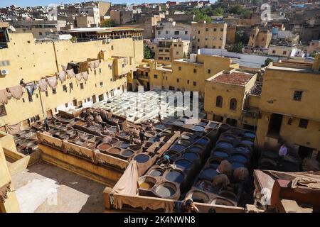 FÈS, MAROC - 31 OCTOBRE 2021 : les gens qui teint du cuir à Chouara Tannery, où l'un des endroits les plus populaires à visiter à Fès Banque D'Images