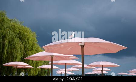 Un mouette repose sur un parasol rose avec un fond de nuages sombres Banque D'Images