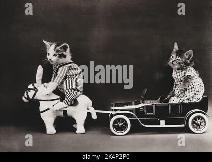 Deux chatons et une voiture en panne, dans une photo nommée, "la panne" par Harry Whittier libère Banque D'Images