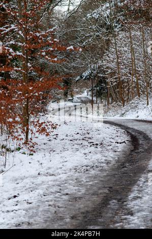 Neige d'hiver sur une voie sinueuse, feuilles rouges et branches enneigées Banque D'Images