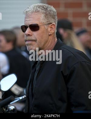 RON PERLMAN, fils de l'anarchie, 2008 Banque D'Images