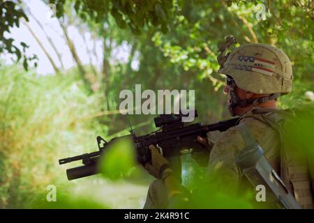 PROVINCE DE HELMAND, AFGHANISTAN - 27 juillet 2009 - Cpl. Du corps des Marines des États-Unis Ryan Schuhmacher avec la compagnie Fox, 2nd Bataillon, 8th Marine Regiment marcher dans un f Banque D'Images