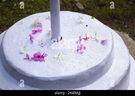 La fleur rose de mousse est tombée à plat sur une surface de sol blanche Banque D'Images