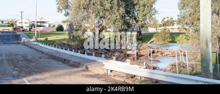 18 septembre 2022 Narrabri, Nouvelle-Galles du Sud, Australie : image panoramique du pont de la rue Violet au-dessus du ruisseau Namoi à Narrabri, recouvert de boue d'arbres enchâssés contre lui lors d'une inondation récente et maintenant avec ses clôtures blanches abaissées en vue de la prochaine inondation. Le lendemain matin, le pont était recouvert d'eau et complètement infranchissable. Credit, Stephen Dwyer, Alay Banque D'Images