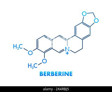 Libellé de l'icône de formule chimique de berberberberine, illustration du vecteur de police de texte Illustration de Vecteur