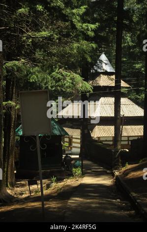 Vue sur le temple Hidimba Devi avec des cèdres Banque D'Images