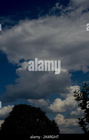 Je trouve les nuages fascinants - leurs formes et nuances qui changent sans cesse rendent toujours le ciel intéressant. Les cumulus sont le type le plus courant. Banque D'Images