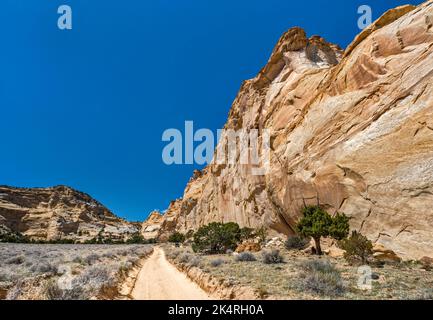 Chemin vers le panneau pétroglyphe de Lone Warrior, mur de grès près de Swasey Cabin, pays de Sinbad, San Rafael Swell, Utah, États-Unis Banque D'Images