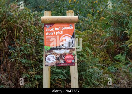 Signez dans la New Forest, Hampshire, Angleterre, Royaume-Uni, avertissement de ne pas choisir des champignons et de causer des dommages à l'écosystème. Banque D'Images