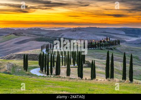 Paysage toscan typique de Val d'Orcia (Sienne) avec cyprès, au coucher du soleil Banque D'Images