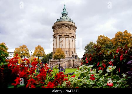 Mannheim, Allemagne. 03rd octobre 2022. Des fleurs se tiennent devant la tour de l'eau sur un pré. Le nouveau 'marco Polo' livre 'Wohin geht die Reise? - Les meilleures destinations pour 2023' recommande Mannheim comme destination pour l'année à venir. Credit: Uwe Anspach/dpa/Alamy Live News Banque D'Images