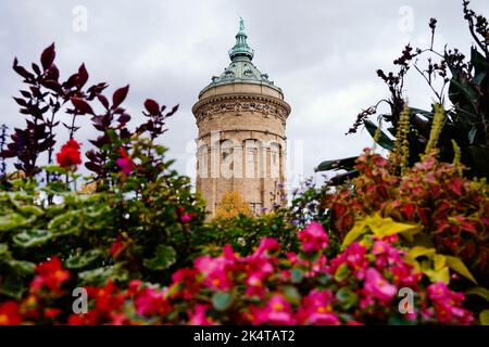 Mannheim, Allemagne. 03rd octobre 2022. Des fleurs se tiennent devant la tour de l'eau sur un pré. Le nouveau 'marco Polo' livre 'Wohin geht die Reise? - Les meilleures destinations pour 2023' recommande Mannheim comme destination pour l'année à venir. Credit: Uwe Anspach/dpa/Alamy Live News Banque D'Images