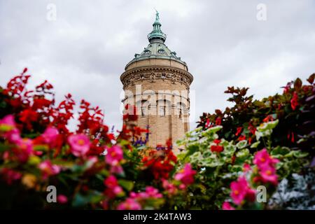Mannheim, Allemagne. 03rd octobre 2022. Des fleurs se tiennent devant la tour de l'eau sur un pré. Le nouveau 'marco Polo' livre 'Wohin geht die Reise? - Les meilleures destinations pour 2023' recommande Mannheim comme destination pour l'année à venir. Credit: Uwe Anspach/dpa/Alamy Live News Banque D'Images