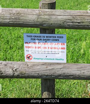 Un panneau sur un sentier public à travers un champ d'alimentation d'hiver pour les vaches disant « s'il vous plaît nettoyer après votre chien » en raison d'un parasite appelé Neospora, Angleterre Banque D'Images