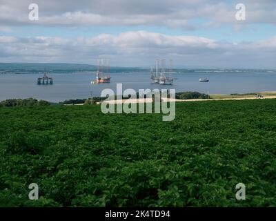 Le paysage agricole d'été et le littoral de l'entreprise Cromary Firth avec ses rigs de pétrole, Cromarty, Black Isle, Ross et Cromarty, Highland Scotland UK Banque D'Images