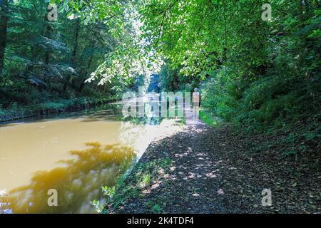 Une femme et son chien marchant le long du chemin de halage sur le canal Shropshire Union à Norbury, près de Stafford, Staffordshire, Angleterre, Royaume-Uni Banque D'Images