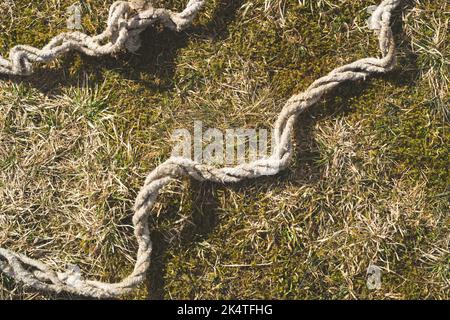 L'ancienne corde repose sur l'herbe verte Banque D'Images