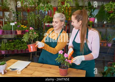 Deux jeunes fleuristes travaillent ensemble pour s'occuper des plantes de la pépinière Banque D'Images
