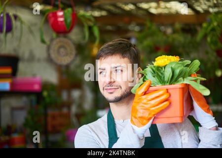 Le jeune jardinier ou fleuriste porte des plantes à vendre dans la boutique de fleurs de pépinière Banque D'Images