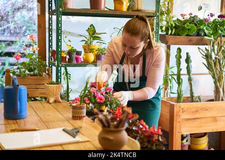 Jeune fleuriste s'occupant des plantes et vérifiant la qualité dans la boutique de fleurs Banque D'Images