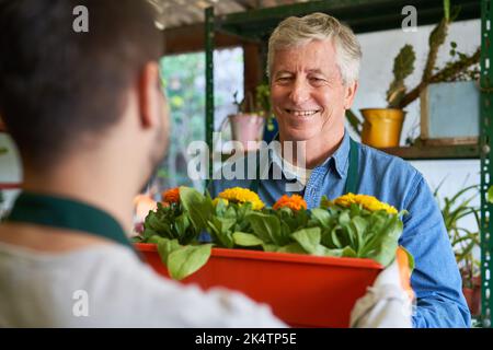 Jeune homme souriant comme apprenti jardinier porte des fleurs pour la vente dans la boutique de fleurs Banque D'Images