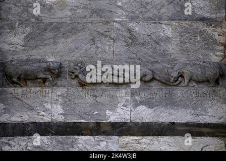 Un taureau, un ours et un dragon ailé avec sa queue se terminant dans la tête d'un serpent: 12th siècle sculpture romane Pisan à côté de l'entrée de la Torre Pendente ou Tour penchée de Pise, le Campanile incliné ou clocher sur la Piazza dei Miracoli à Pise, Toscane, Italie. L’inscription latine ci-dessous indique la fondation de la tour en août 1174. Banque D'Images