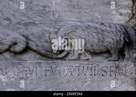 Un ours prêt à mordre la queue à tête de serpent d'un dragon ailé et corné : détail de la sculpture romane de Pisan du 12th siècle à côté de l'entrée de la Torre Pendente ou de la Tour penchée de Pise, le campanile incliné ou le clocher de la Piazza dei Miracoli à Pise, Toscane, Italie. L’inscription latine ci-dessous indique la fondation de la tour en août 1174. Banque D'Images