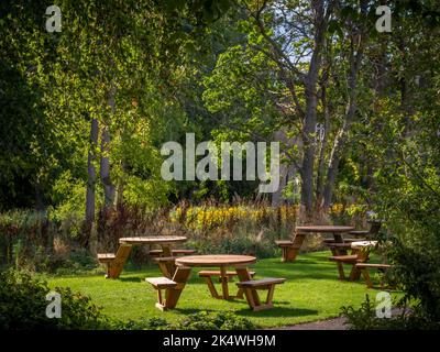 Tables de pique-nique rondes en bois dans un jardin britannique, en été. Banque D'Images