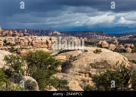 Nuages orageux au-dessus des formations de grès de Cedar Mesa dans le Needles District, Parc national de Canyonlands, Utah. Banque D'Images