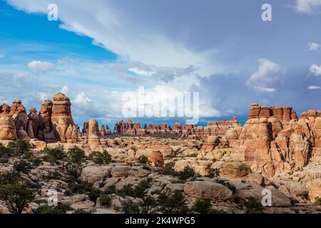 Nuages orageux au-dessus des formations de grès de Cedar Mesa dans le Needles District, Parc national de Canyonlands, Utah. Banque D'Images