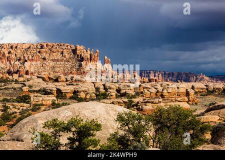 Nuages orageux au-dessus des formations de grès de Cedar Mesa dans le Needles District, Parc national de Canyonlands, Utah. Banque D'Images