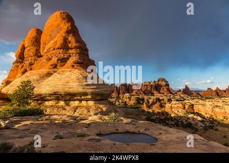 Une tempête au-dessus des formations rocheuses de grès de Cedar Mesa dans la région de Devil's Kitchen, dans le quartier des aiguilles de Canyonlands NP, Utah. Derrière se trouve la Sal Banque D'Images