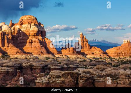 Une tempête au-dessus des formations rocheuses de grès de Cedar Mesa dans la région de Devil's Kitchen, dans le quartier des aiguilles de Canyonlands NP, Utah. Derrière se trouve la Sal Banque D'Images