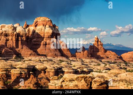 Une tempête au-dessus des formations rocheuses de grès de Cedar Mesa dans la région de Devil's Kitchen, dans le quartier des aiguilles de Canyonlands NP, Utah. Derrière se trouve la Sal Banque D'Images