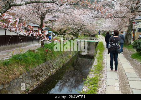 KYOTO, JAPON - 16 AVRIL 2012 : les gens visitent la promenade du philosophe (ou le chemin du philosophe) à Kyoto, au Japon. Le sentier bordé de cerisiers en fleurs est un grand JAPA Banque D'Images