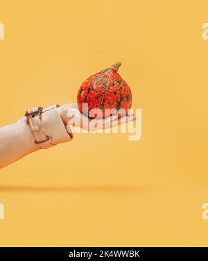 Concept d'automne. La main d'une femme dans un manteau d'automne Burberry tient une petite citrouille orange avec des taches vertes. Fond jaune vanille. Peu de cré saisonnier Banque D'Images