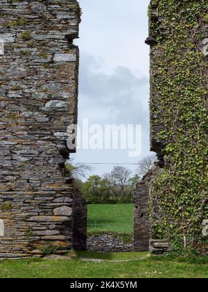 Les ruines du bâtiment. Architecture ancienne. Les ruines de Arundel grain Store, près de Clonakilty, West Cork.The 16th Century grain Store. Banque D'Images