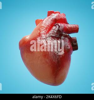 3D rendu d'un modèle réaliste du cœur humain sur fond bleu Banque D'Images