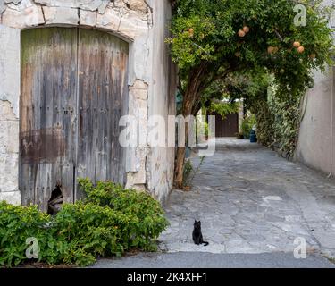 Un chat noir dans une rue pavée, Vasa, un village traditionnel de montagne, République de Chypre Banque D'Images