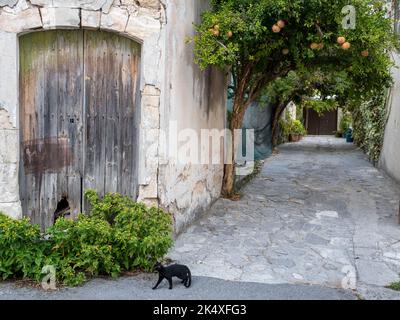 Un chat noir dans une rue pavée, Vasa, un village traditionnel de montagne, République de Chypre Banque D'Images