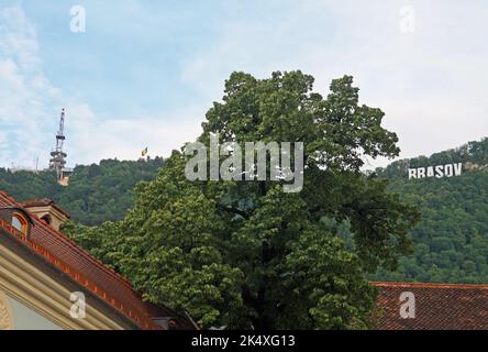 Vue sur le panneau Brasov au sommet de la montagne de Tampa, de la vieille ville de Brasov, Transylvanie, Roumanie Banque D'Images