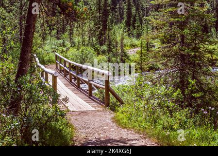 Un pont en bois sur la randonnée jusqu'au lac Annette dans le parc national Banff Banque D'Images