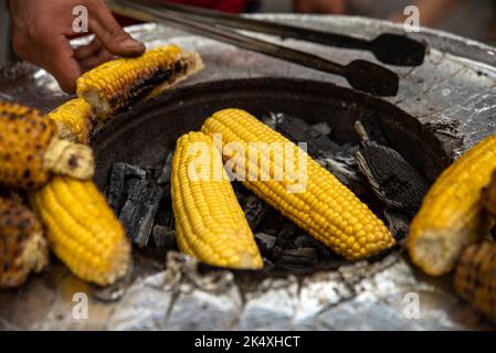 Cornes grillées sur la grille, prêtes à servir. Maise rôtie et cuite à la vente. Banque D'Images