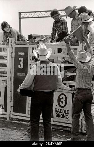 Cowboys se prépare à ouvrir la chute au rodéo de Rockyford, vers 1982, Alberta Canada Banque D'Images