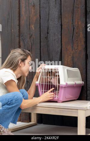 Vue verticale de la femme qui prend son chat d'animal de compagnie au vétérinaire dans une cage et apaisant l'animal Banque D'Images