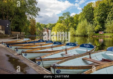 Knaresborough Viaduct et promenade le long de la rivière Nidd avec café et location de bateau. Banque D'Images