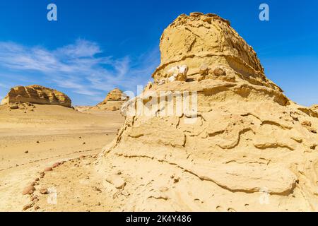 Wadi al Hitan, Faiyum, Égypte. Baleine fossile sur un promontoire érodé le long du sentier d'interprétation au site paléontologique de Wadi el-Hitan. Banque D'Images