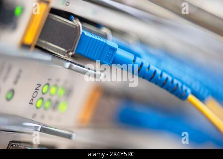 Câbles de raccordement à fibre optique connectés aux ports optiques de la vue macro du commutateur Banque D'Images
