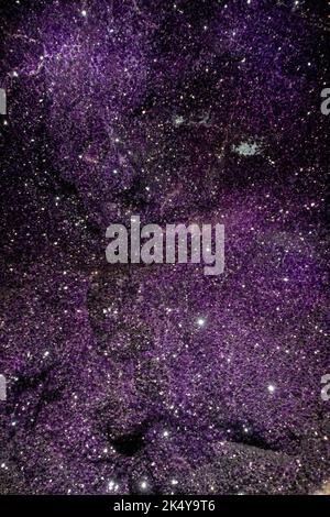 American Museum of Natural History à Manhattan, New York Banque D'Images